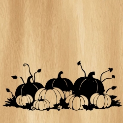 fall_pumpkin_patch_00009_