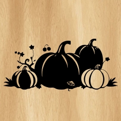 fall_pumpkin_patch_00018_