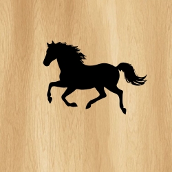 galloping_horse_00009_