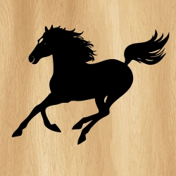 galloping_horse_00010_