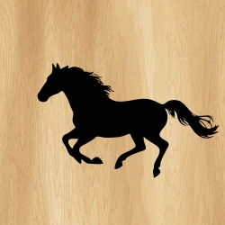 galloping_horse_00019_