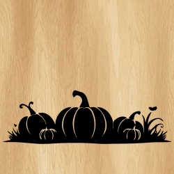 pumpkin_patch_00014_