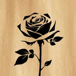 rose_flower_00004_