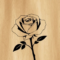 rose_flower_00007_