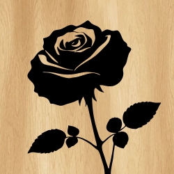 rose_flower_00008_