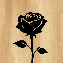 rose_flower_00013_