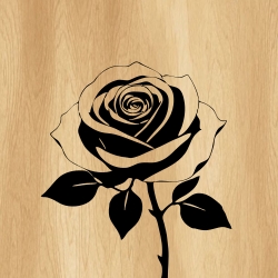 rose_flower_00018_