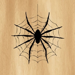 spider_web_00003_