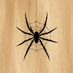 spider_web_00015_