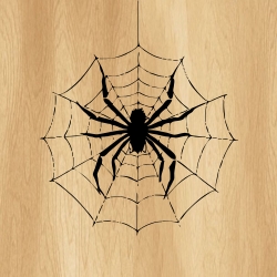 spider_web_00016_