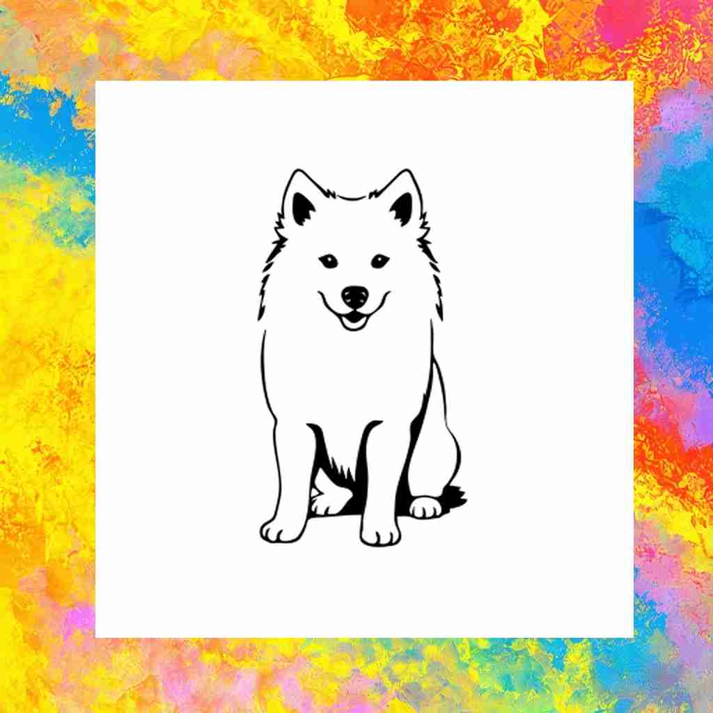 dog_american_eskimo_dog_00013_