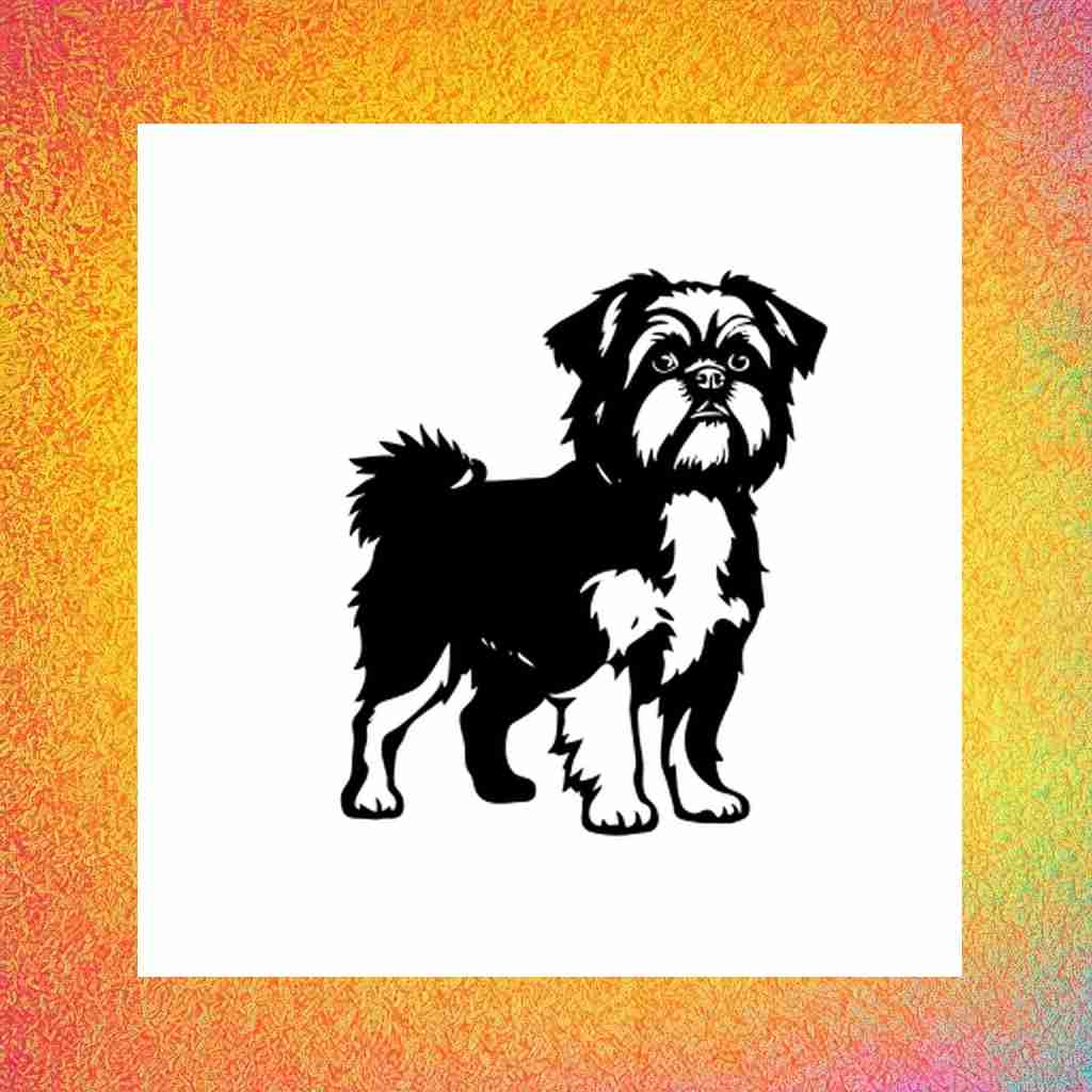 dog_shih_tzu_00005_