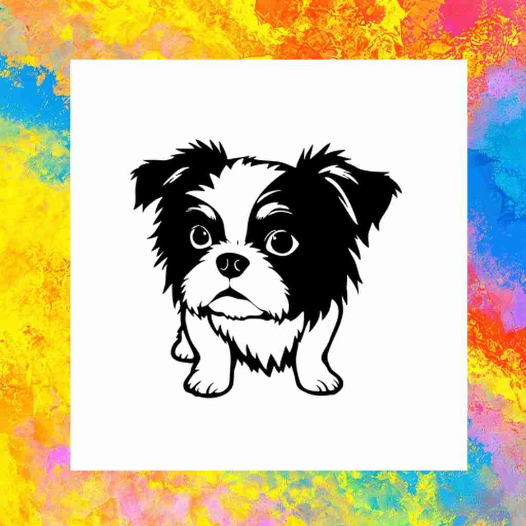 dog_shih_tzu_00012_