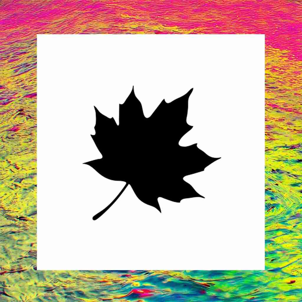 maple_leaf_00002_