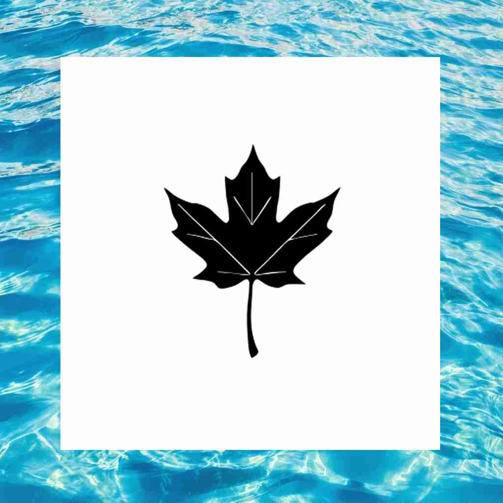 maple_leaf_00016_