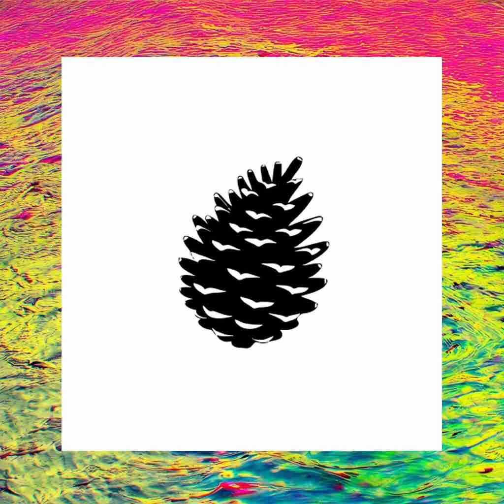 pinecone_00014_