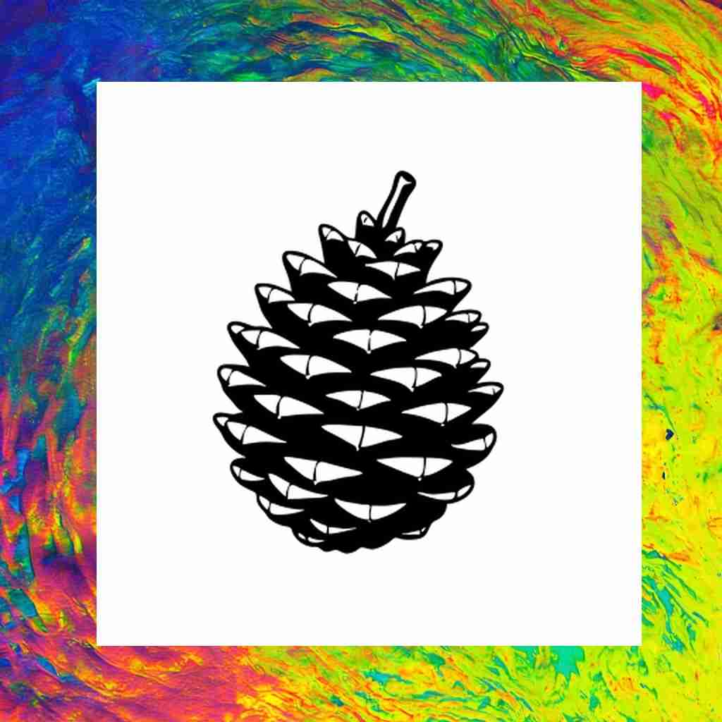 pinecone_00016_