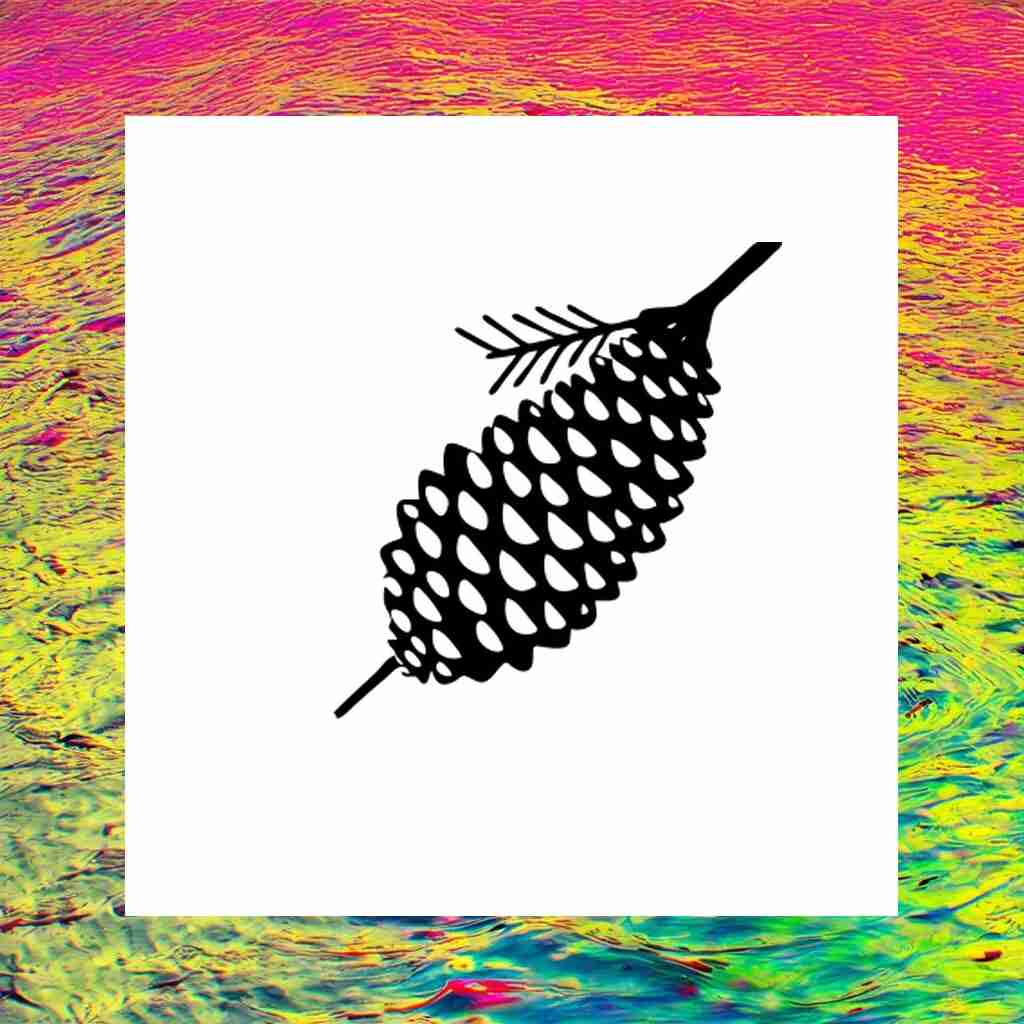 pinecone_00020_