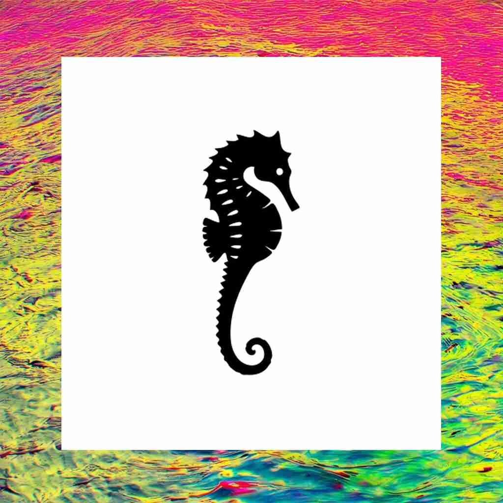 seahorse_00010_