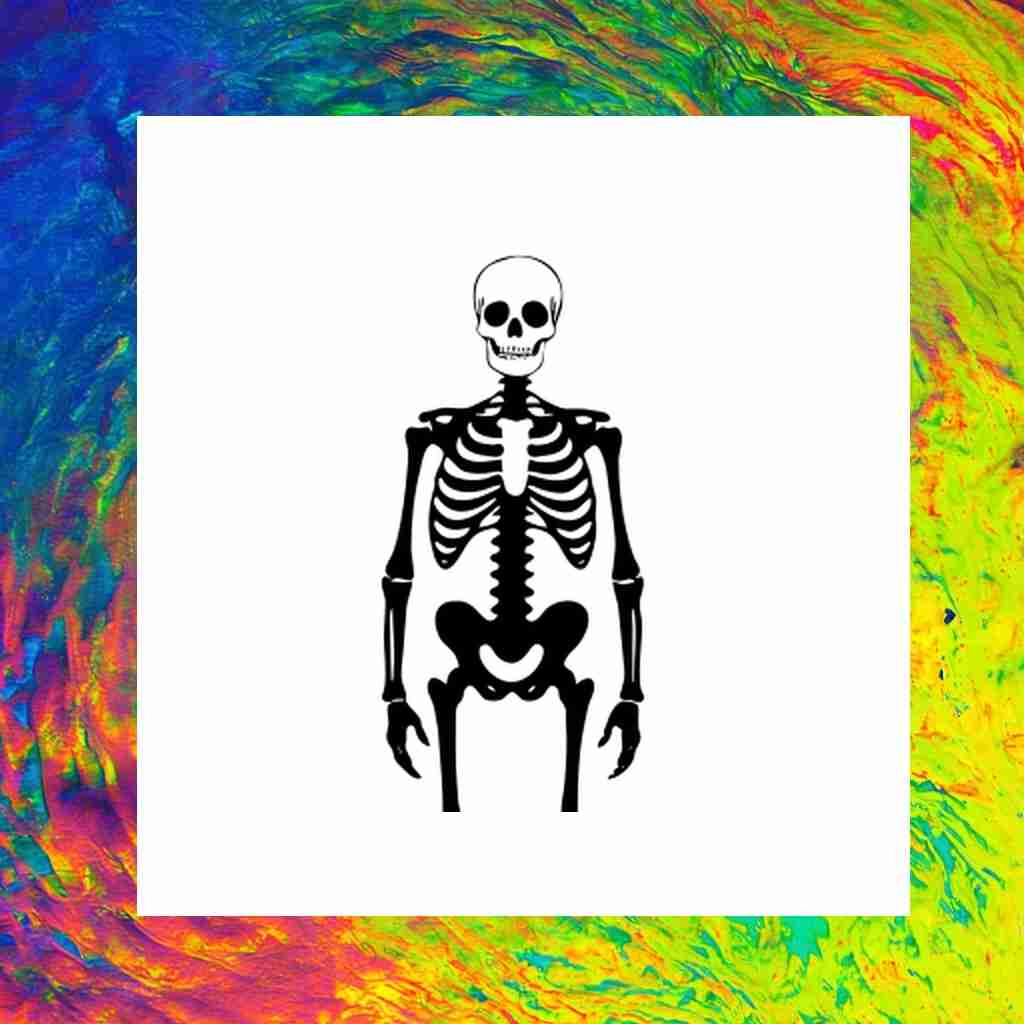 skeleton_00004_