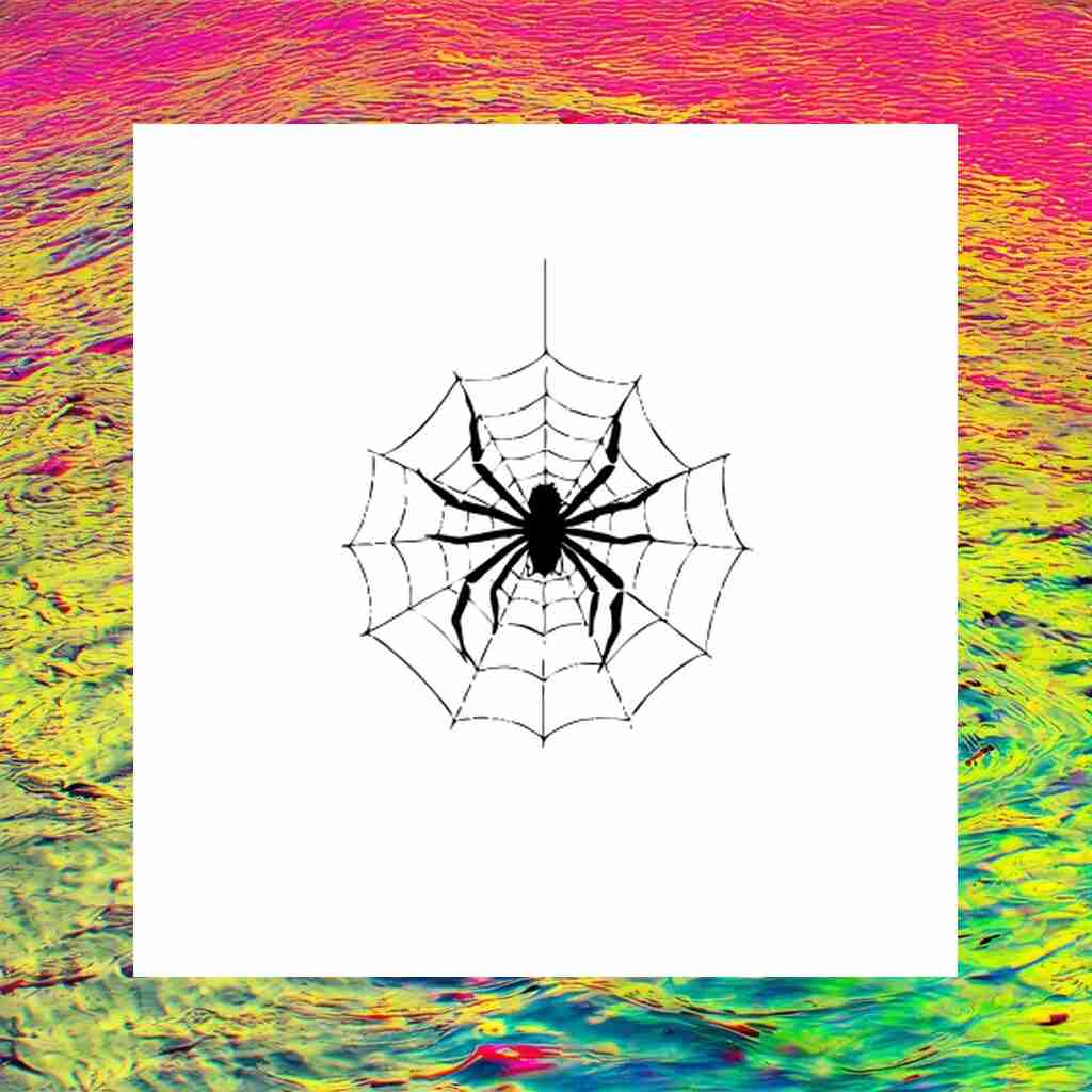 spider_web_00016_