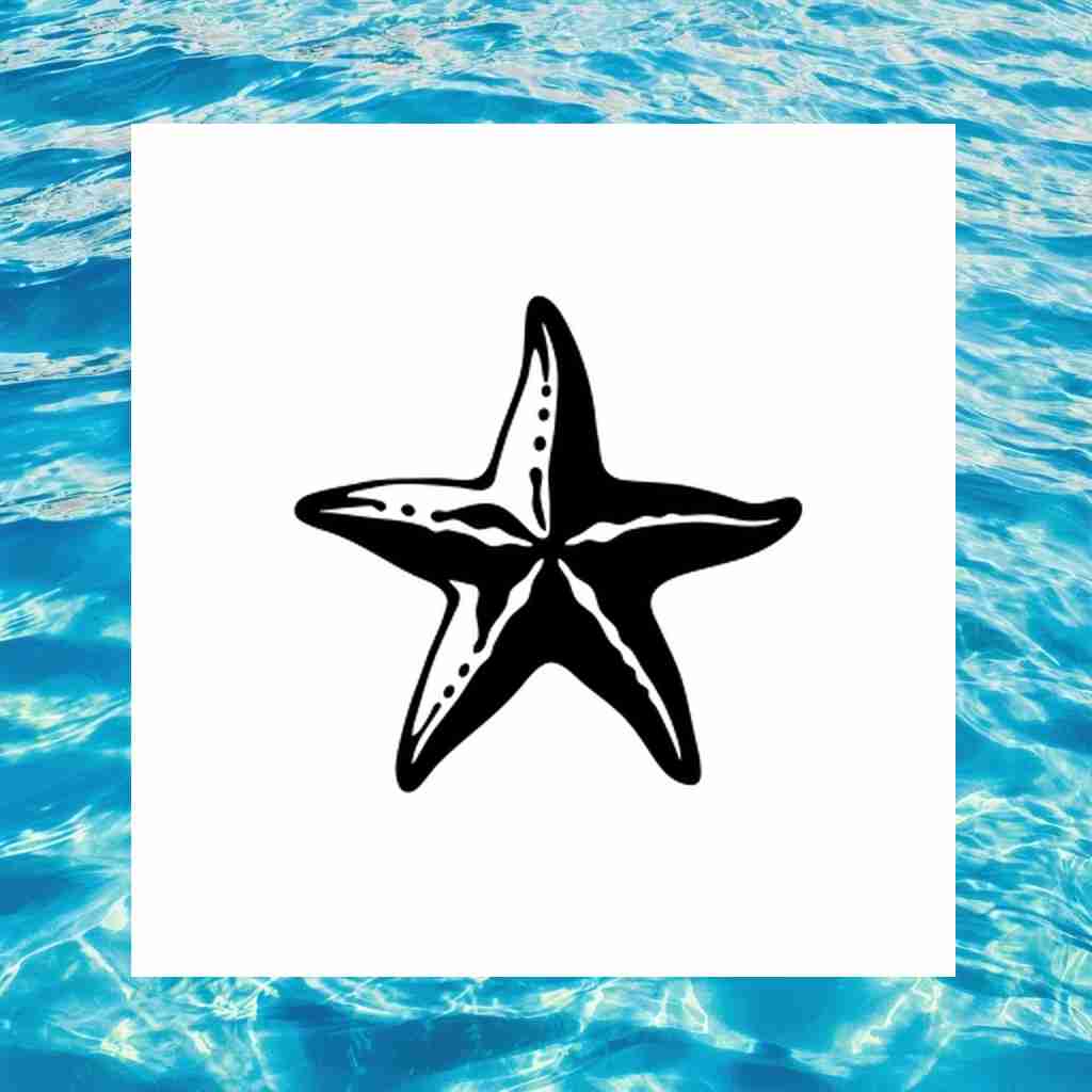 starfish_00008_