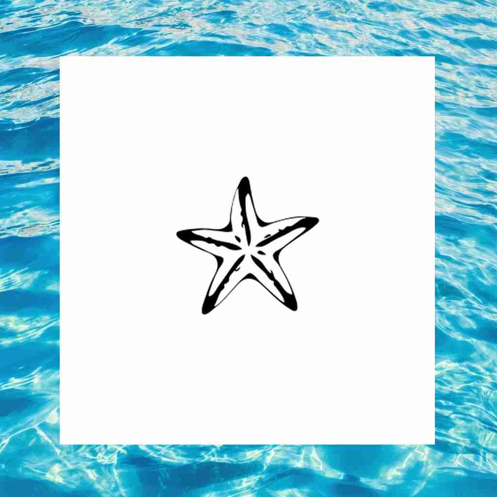 starfish_00010_