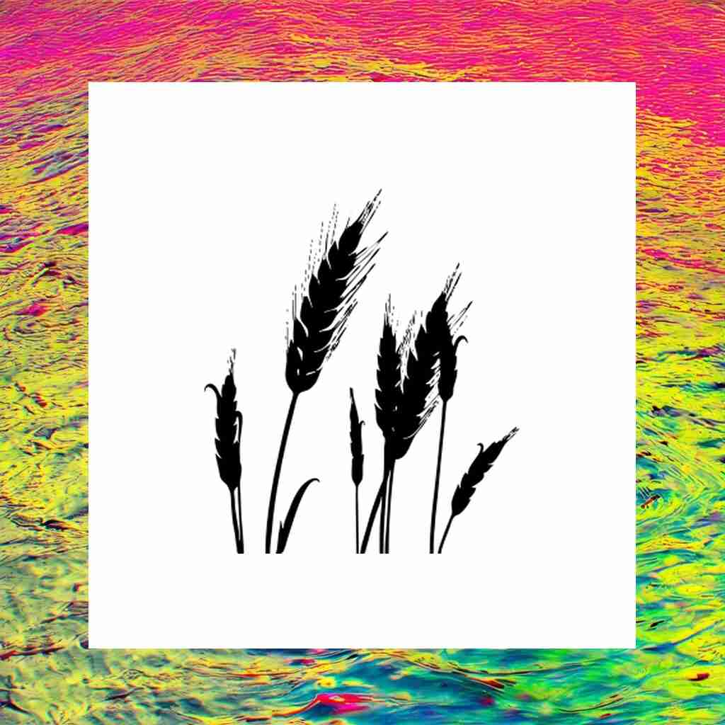 wheat_00020_